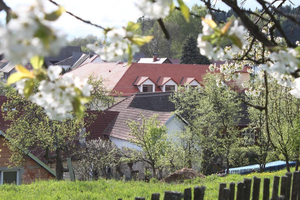 Penzion U Rudolfu Vlasenice Zewnętrze zdjęcie